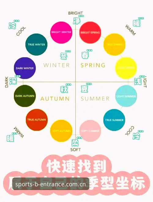 5个关键判断帮你找到最省心的体育登录入口